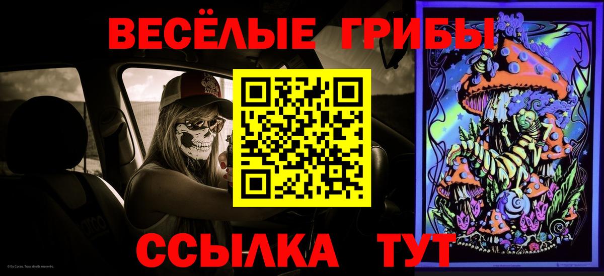 Павловский Посад  Галлюциногенные грибы Magic Shrooms  Псилоцибиновые грибы прущие грибы  купить   Вход с VPN 