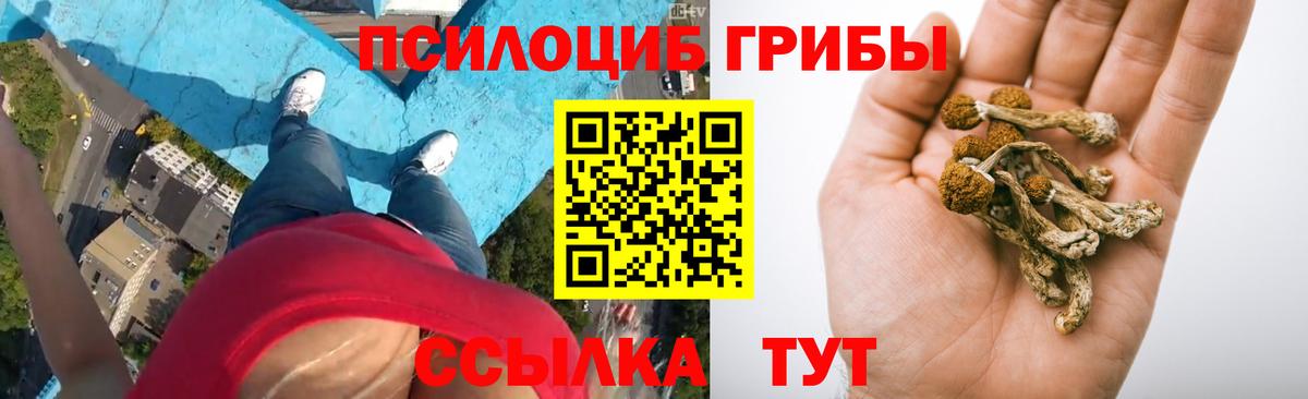 Псилоцибиновые грибы Magic Shrooms Павловский Посад